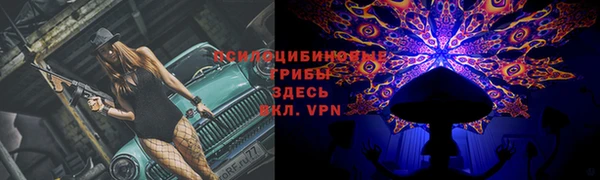 марихуана Новозыбков