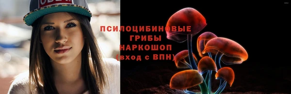 мдпв Новокубанск