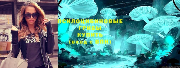 мдпв Новокубанск