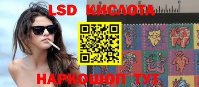 прущие грибы Абинск