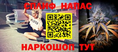 прущие грибы Абинск