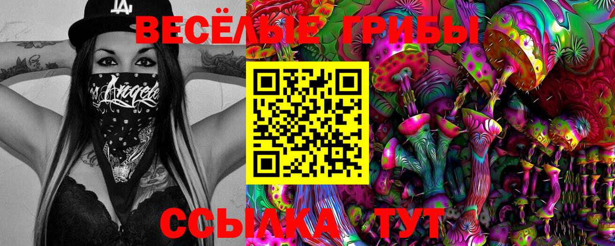 Галлюциногенные грибы Psilocybe Белореченск